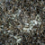 Alton Lux Pearl (Brown)