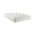 Dream Ortho Pocket Spring Mattress