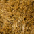 Alton Lux Pearl (Mustard)